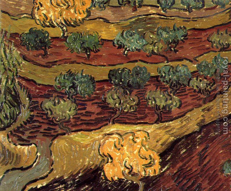Vincent Van Gogh : Olive Orchard(Birds-EyeView)